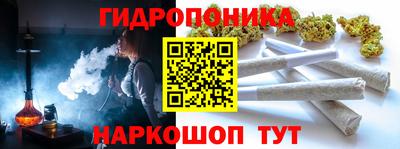 винт Тара