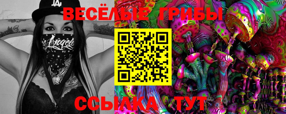 Новороссийск  Галлюциногенные грибы Psilocybine cubensis  как найти   Вход с VPN 