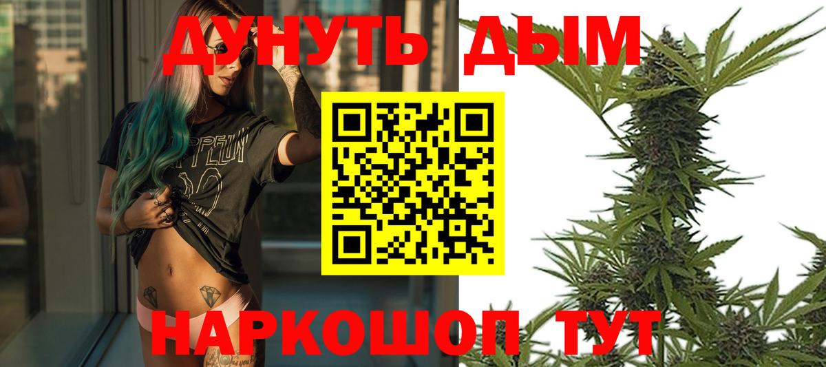 Конопля план  Каннабис VHQ  Шишки марихуана марихуана  Вход с VPN  Новороссийск 